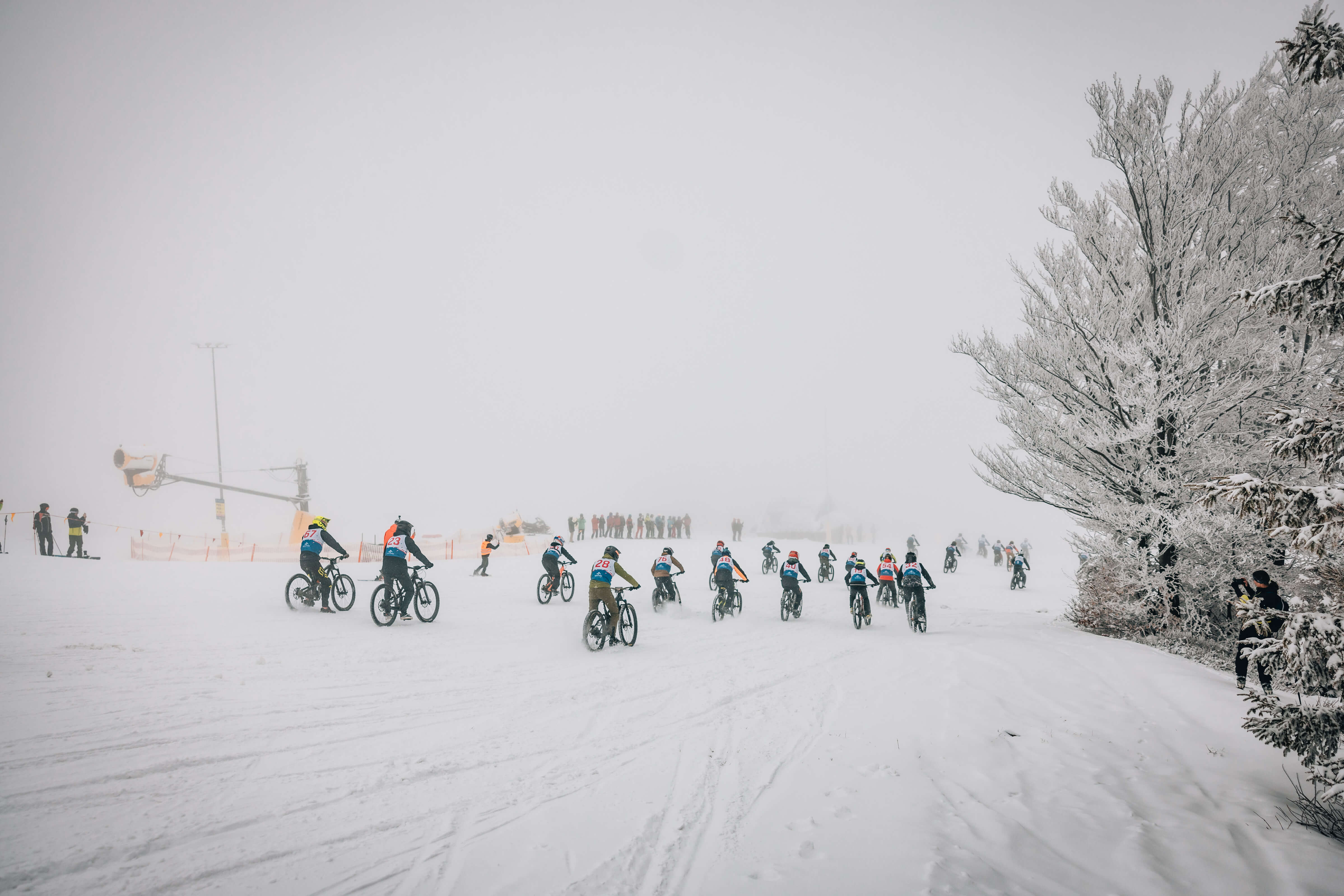 Avalanche Szczyrk 2025