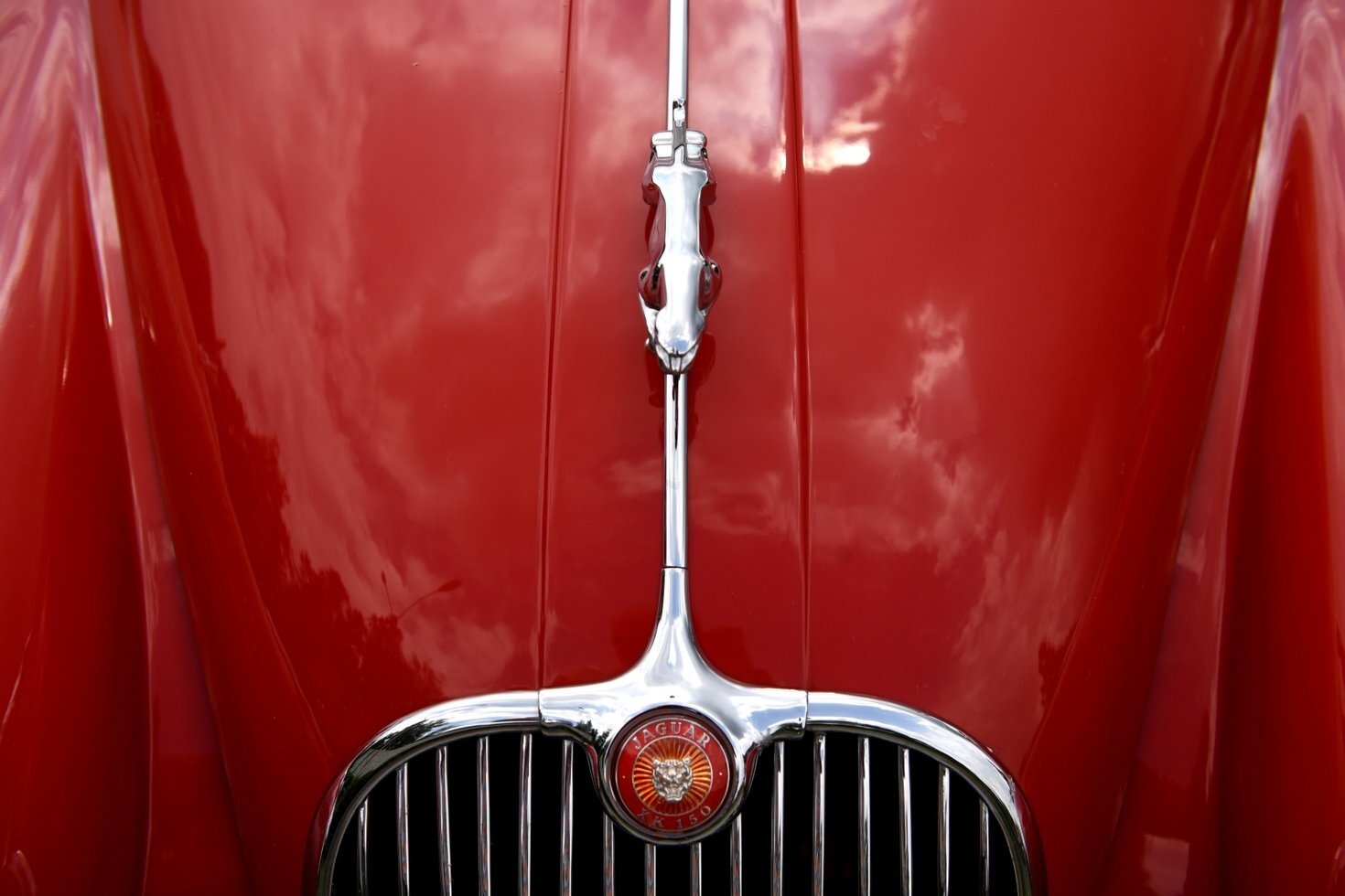 Bolid12