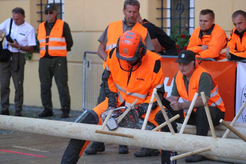 Cietrzewisko Koszecin Lasy Panstwowe 46