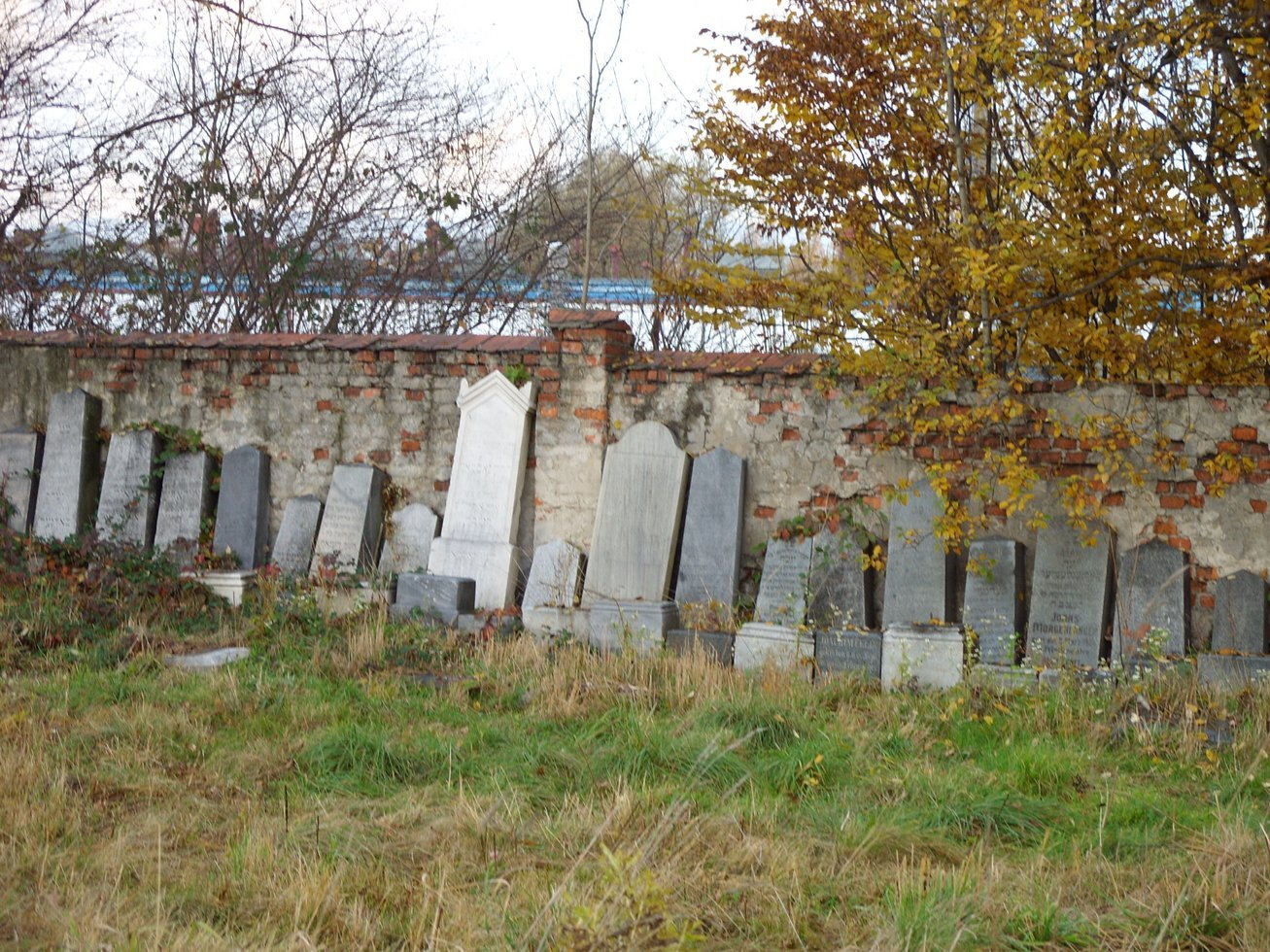 Cmentarz Zydowski Zywiec 05