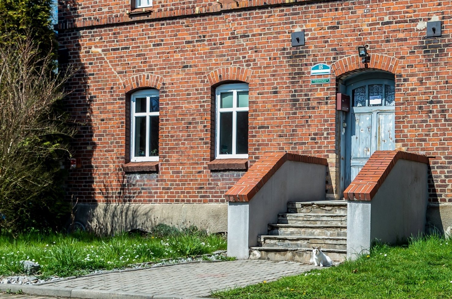 D4 N6137