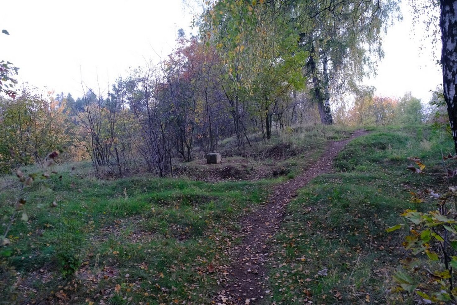 DSCF2326