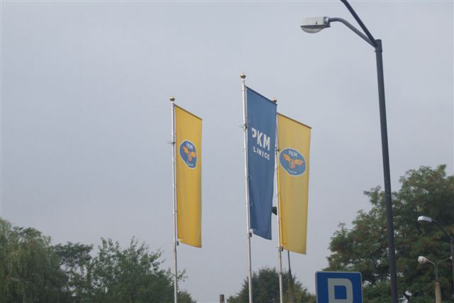 DSCF2954