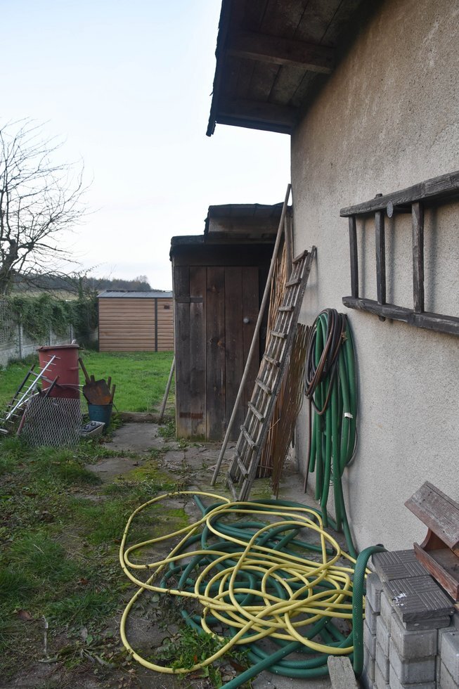 DSC 0939