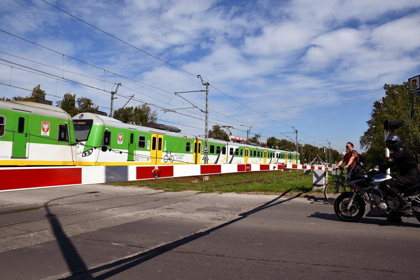 DSC 8644