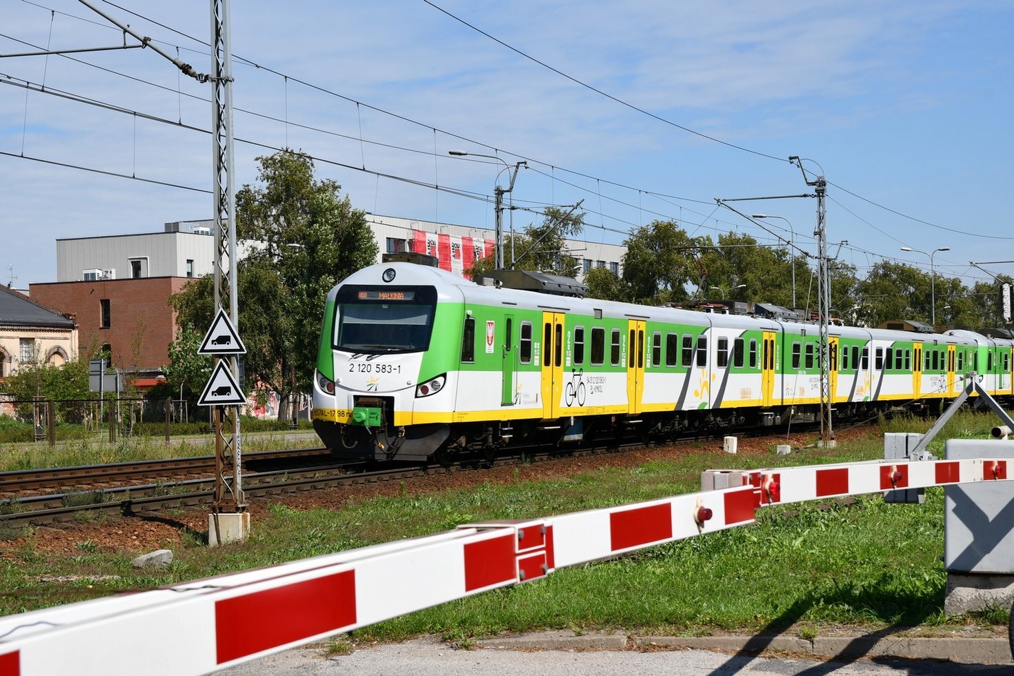 DSC 8648