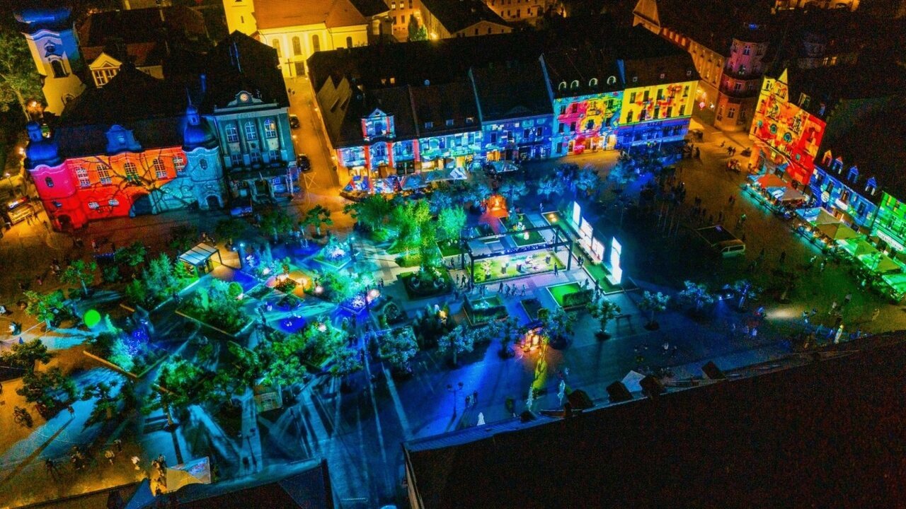 Daisy Days w pszczynie