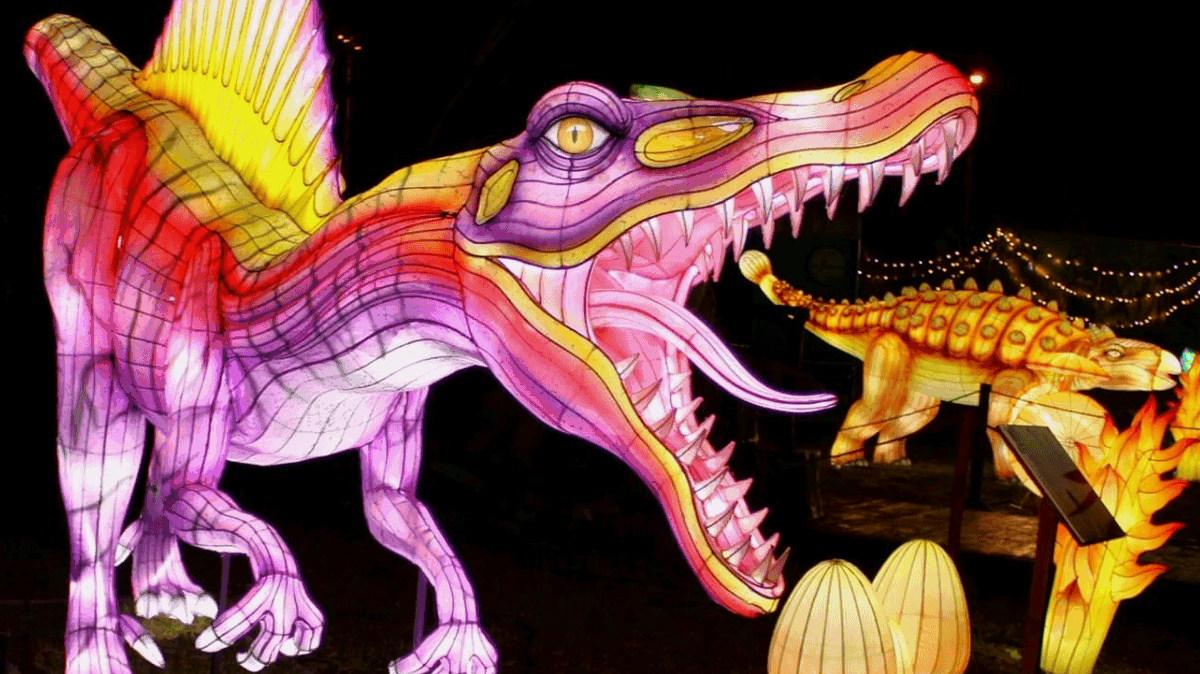 Dinosaur Garden Glow