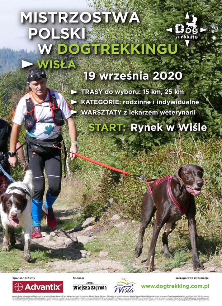 Dogtrecking