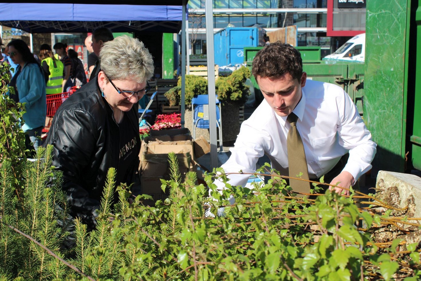 Drzewko za surowce 1