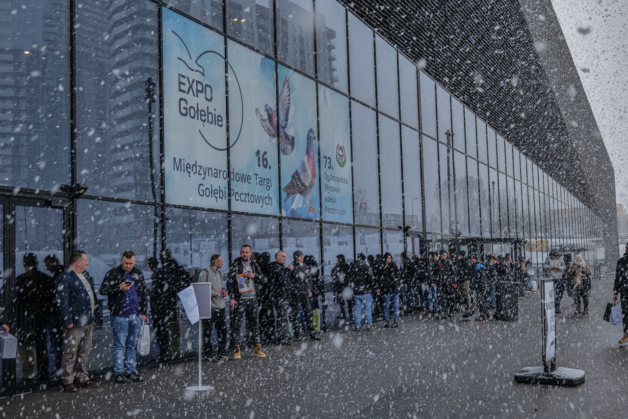 EXPO Gołębie 2025