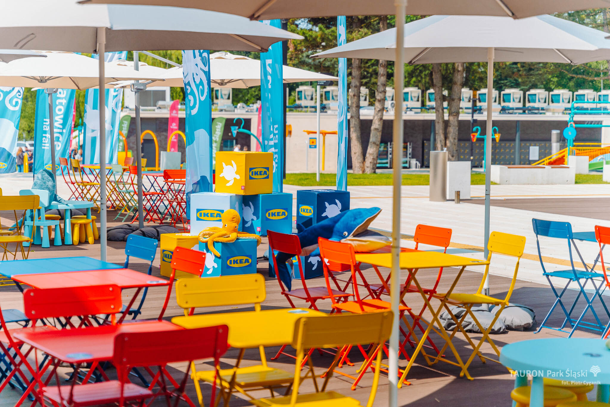 Fala w Parku Ślaskim 10