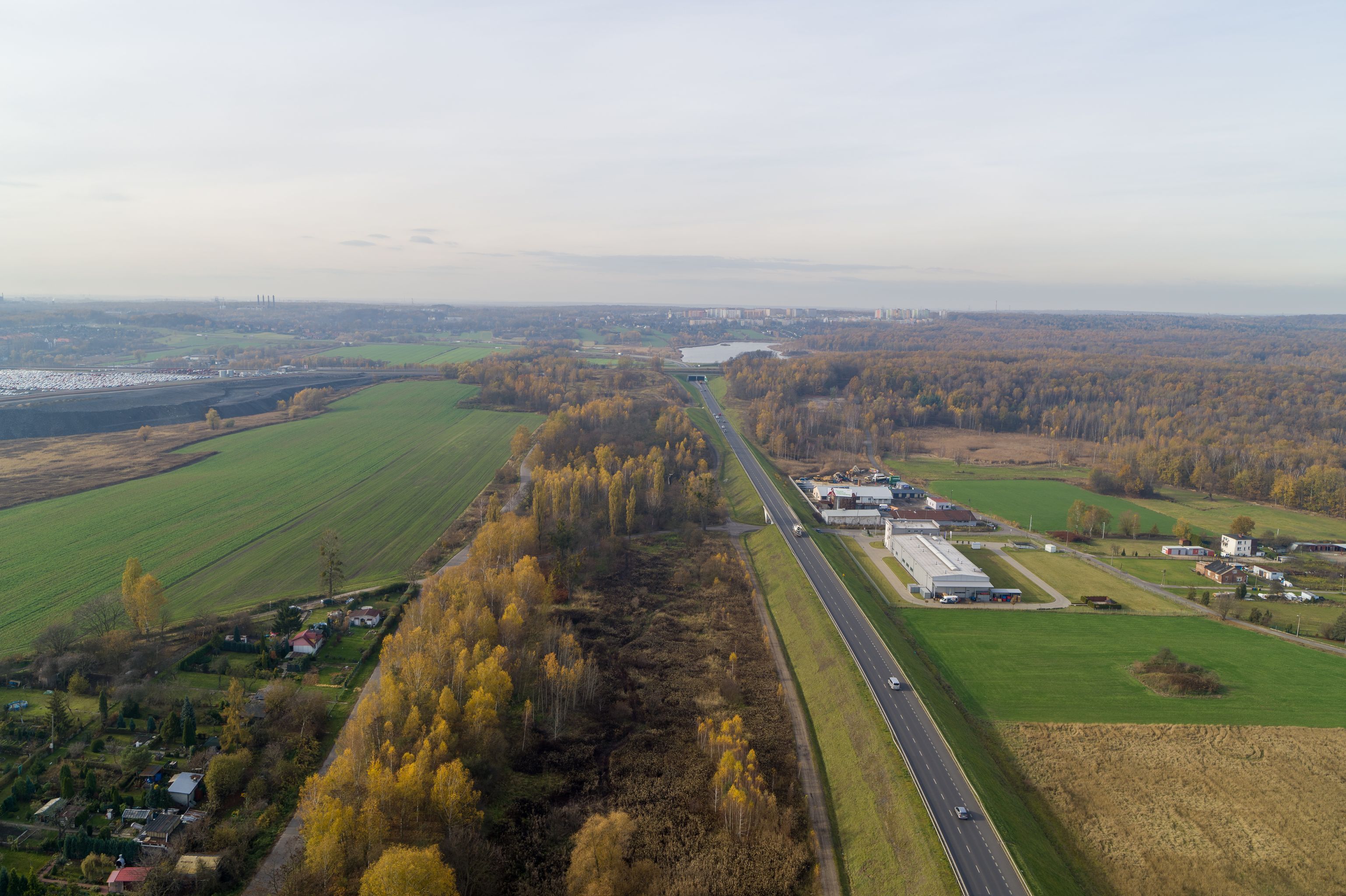 Fot 3 Metropolis