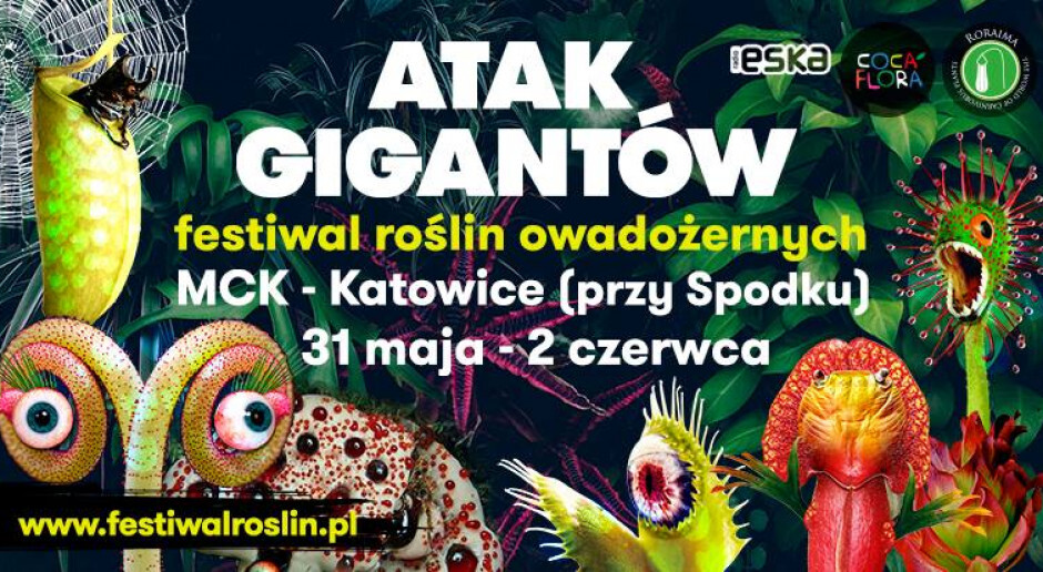 Gig
