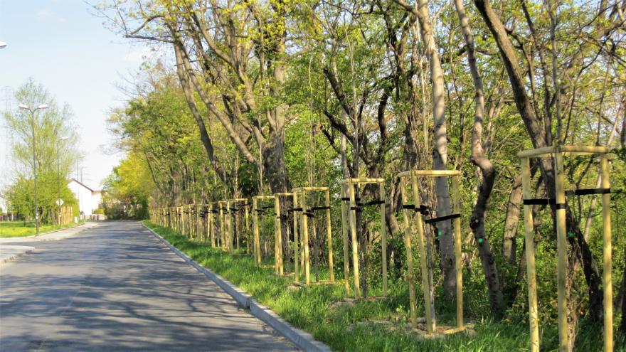 Gliwice ekrany zielone dzwiekochonne