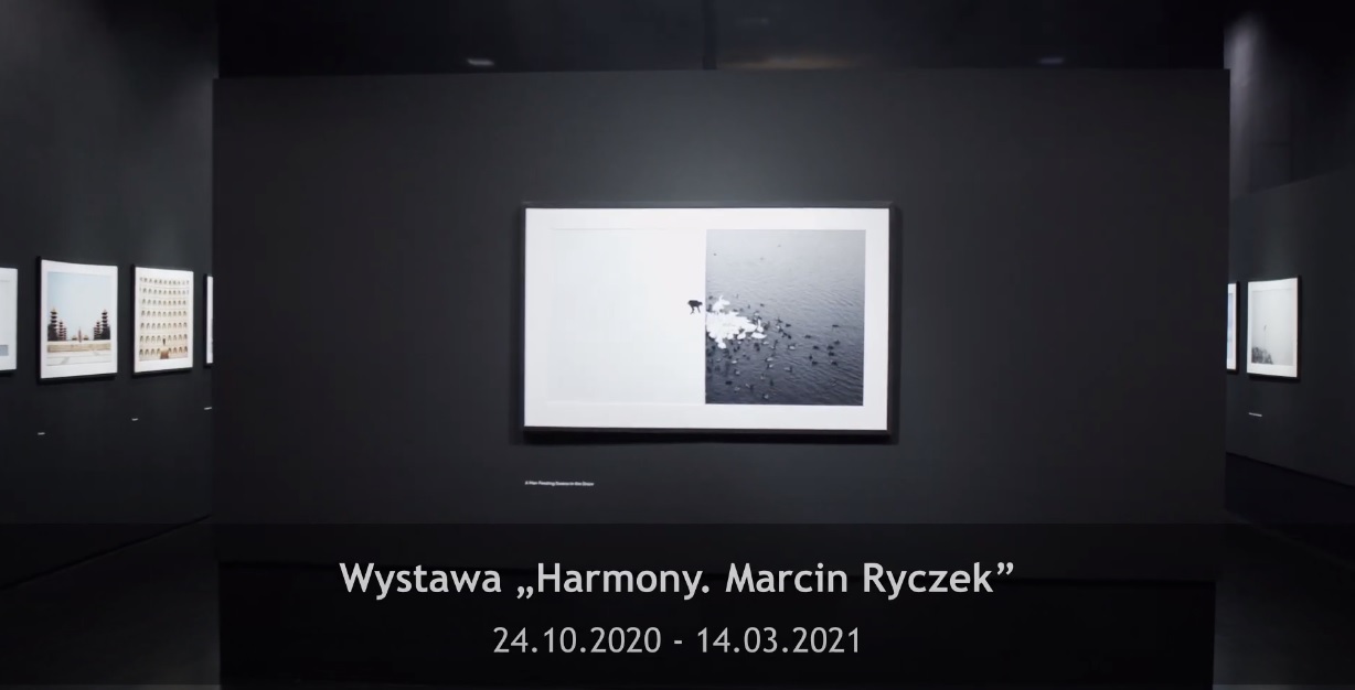 Harmony foto