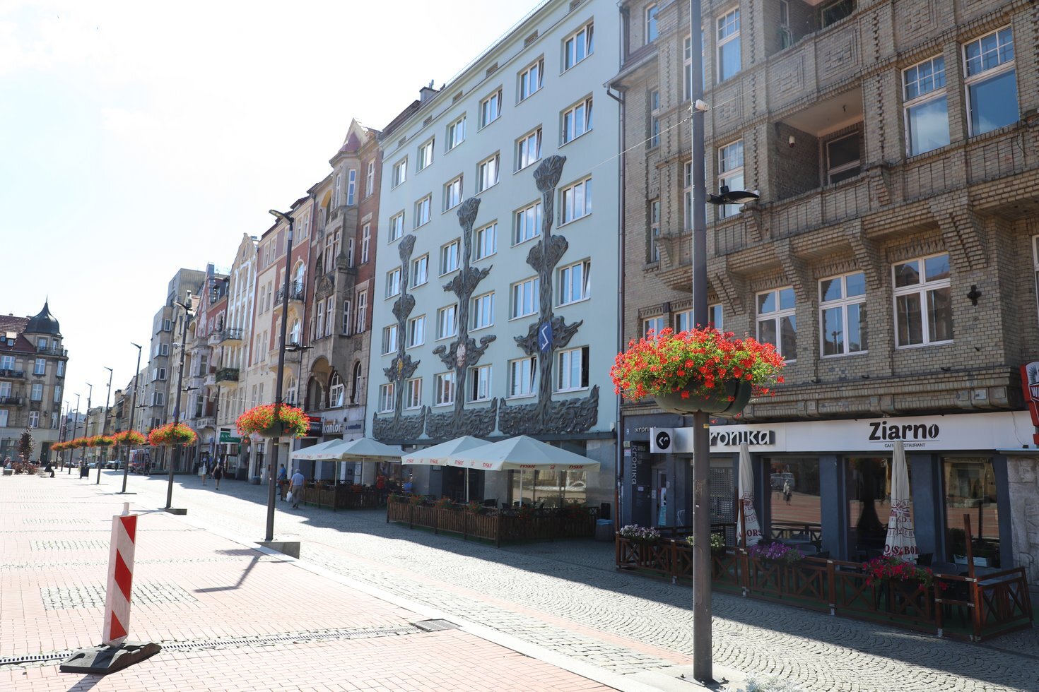 IMG 0350 01