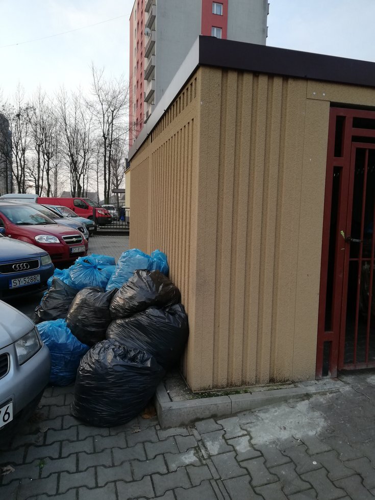 IMG 20191127 074043
