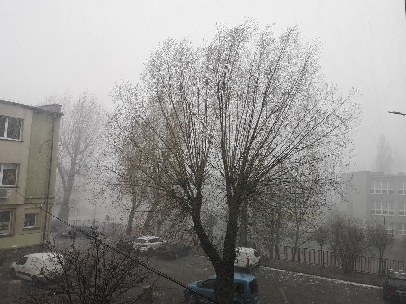 IMG 20210407 134902