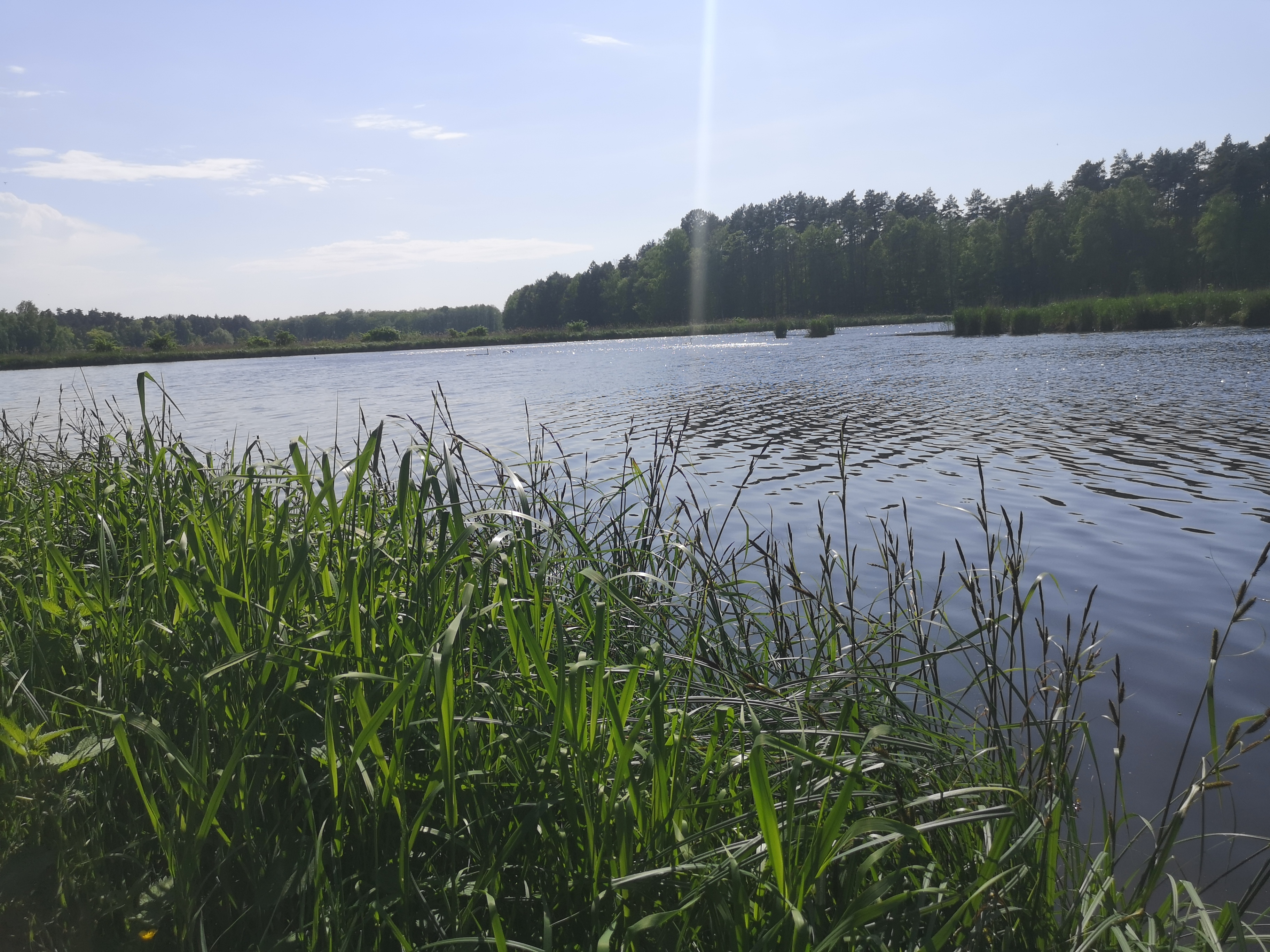IMG 20230521 154946 1