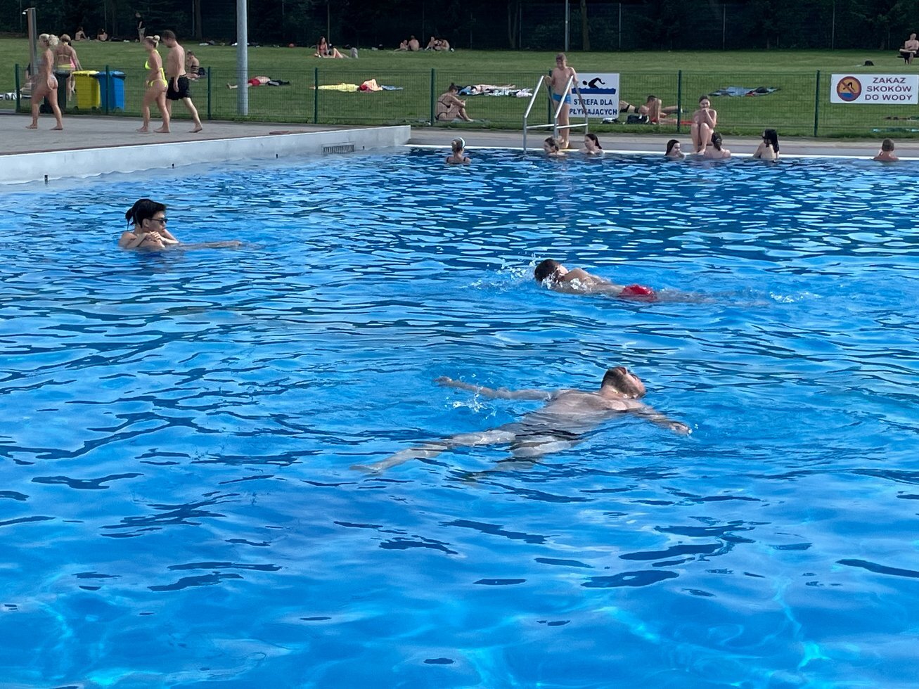 IMG 2715