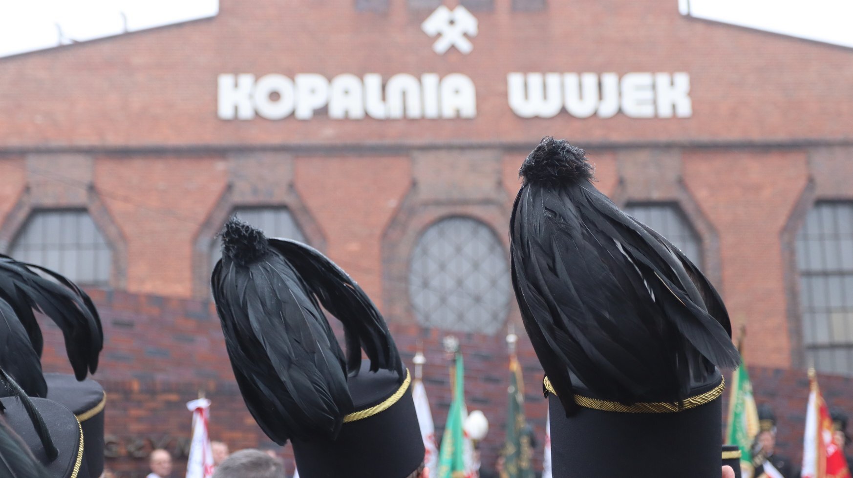 IMG 5525