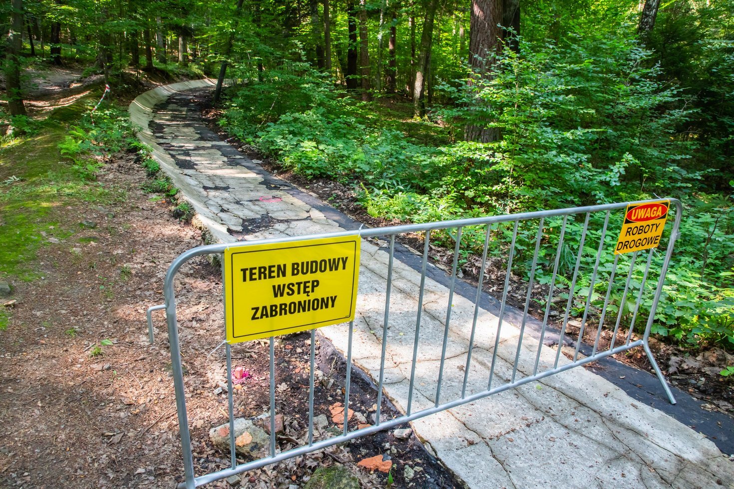 IMG 7505yns 28 lipiec 2021 3000x2000