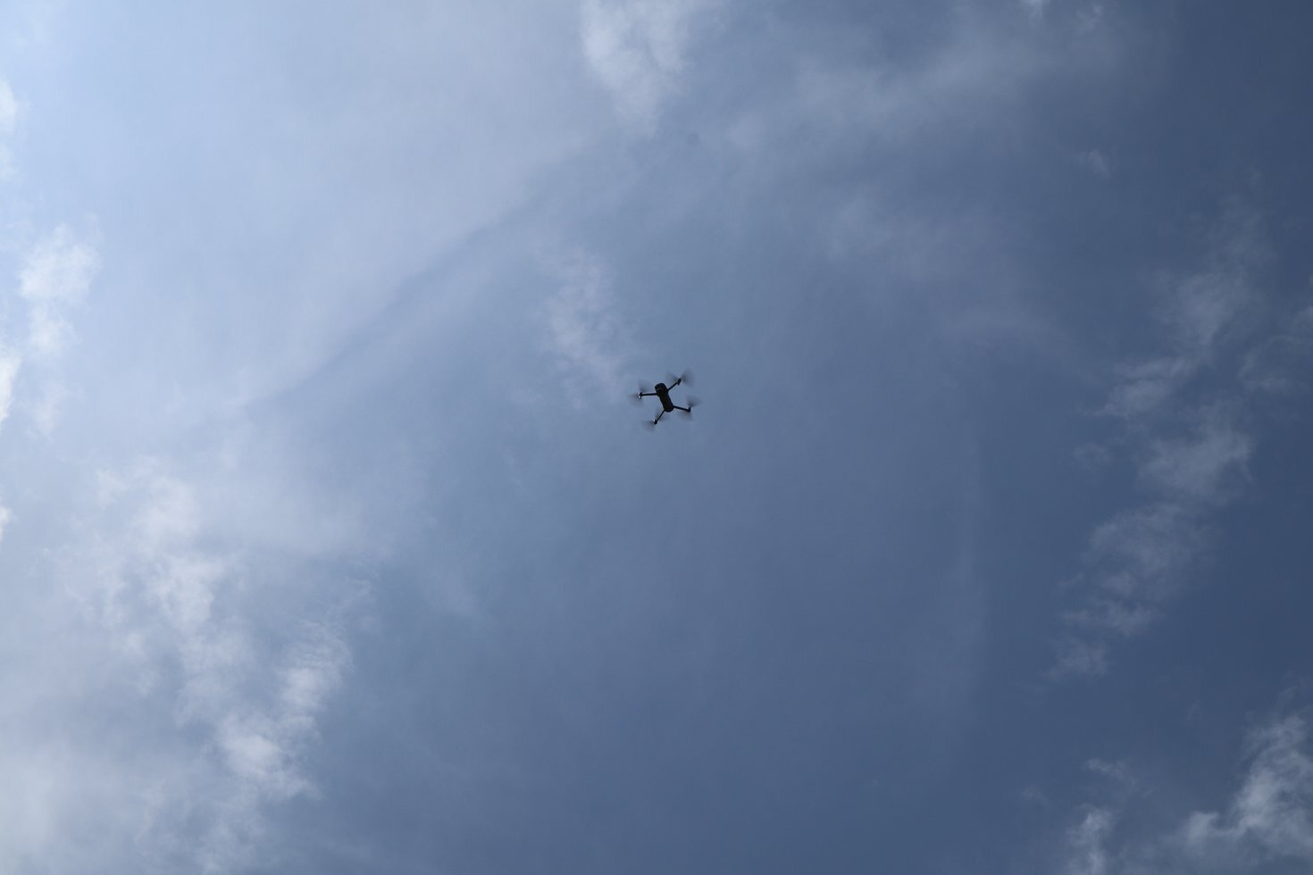 IMG 8963 01