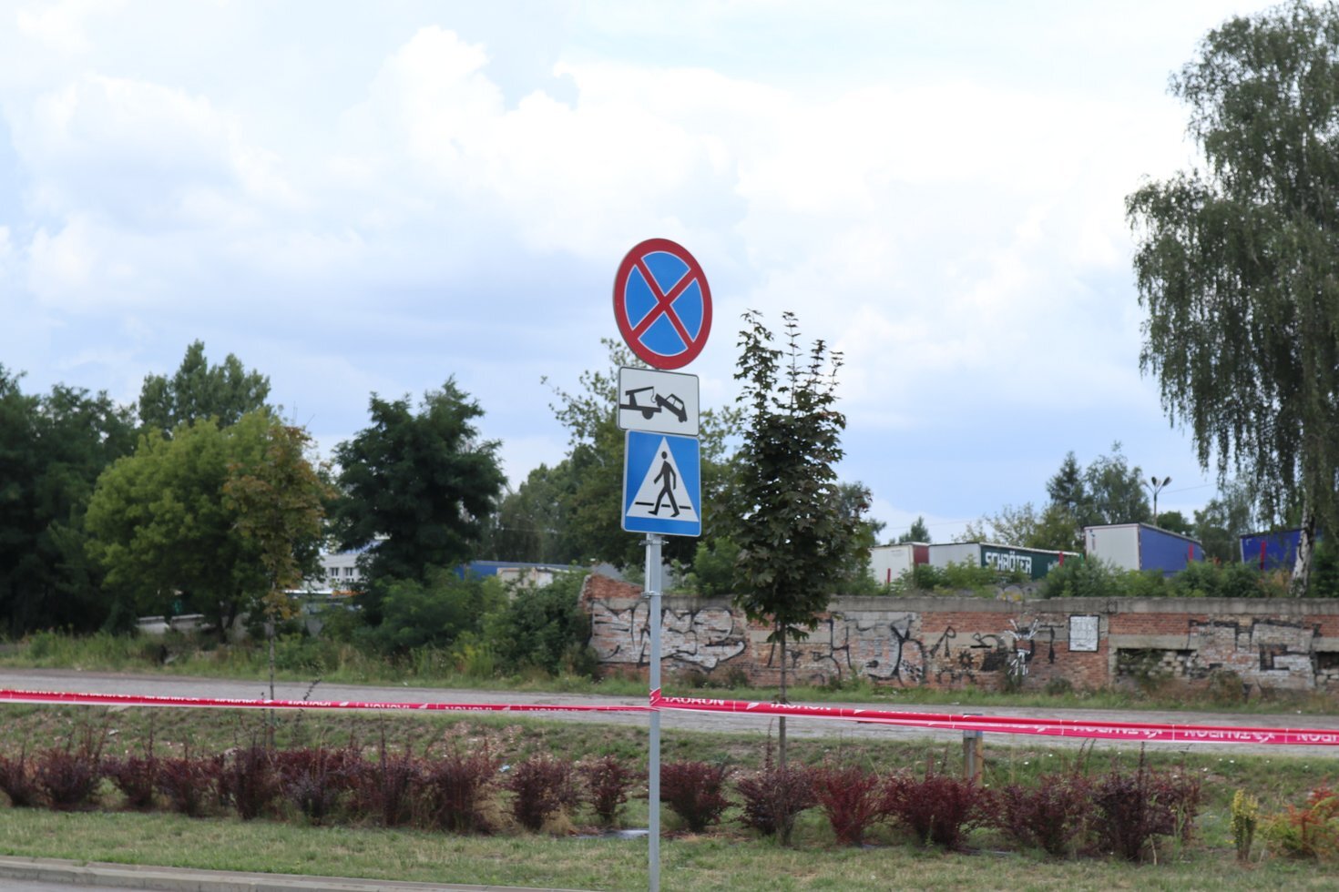 IMG 8975 01