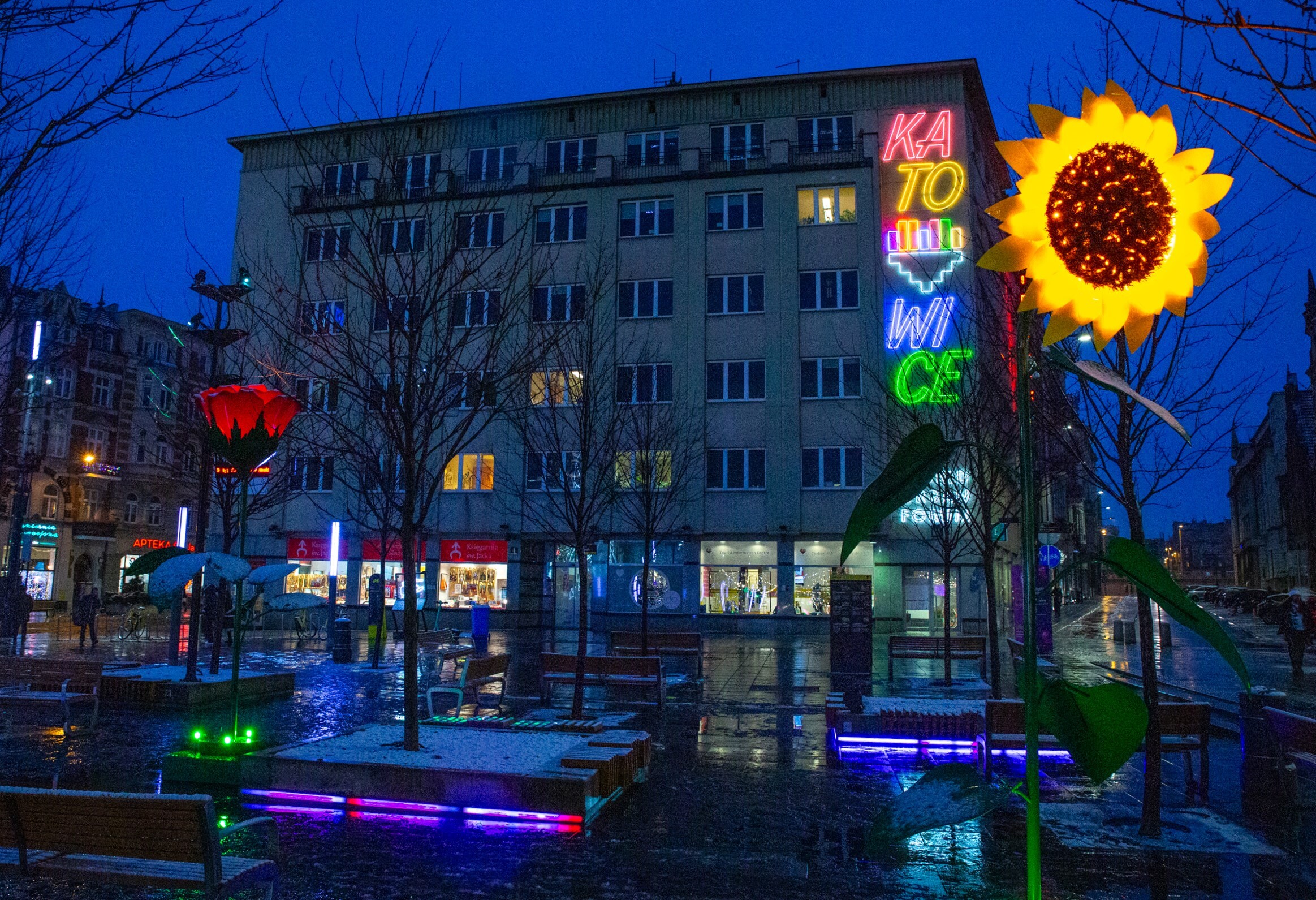Iluminacje w Katowicach