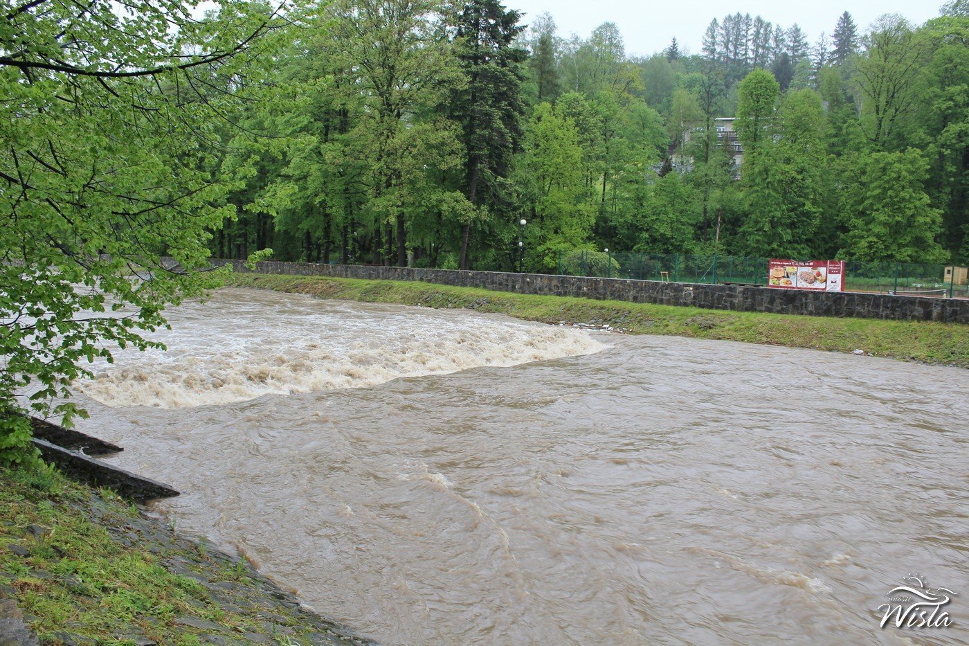 Image00008 5