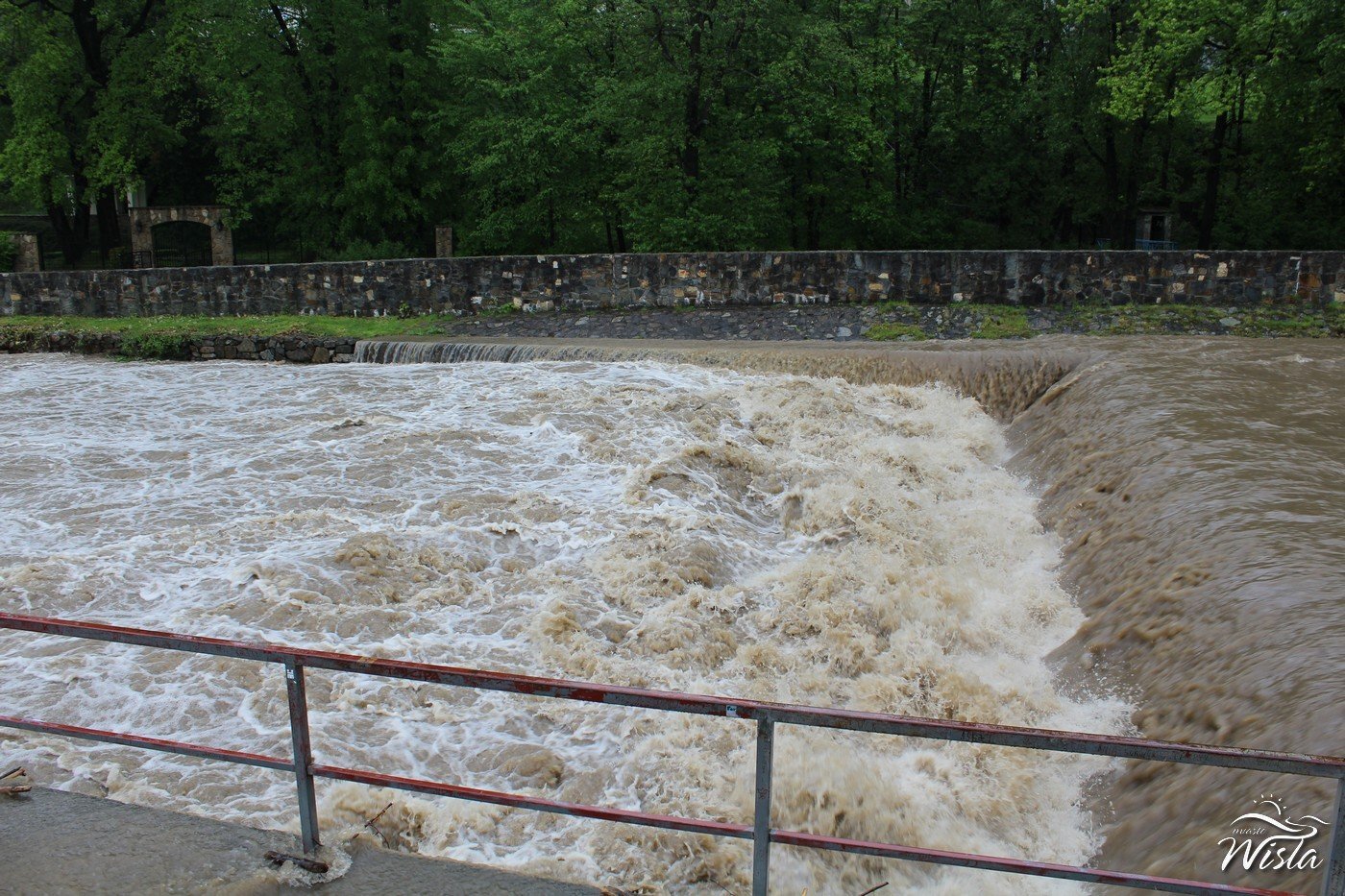 Image00009 4