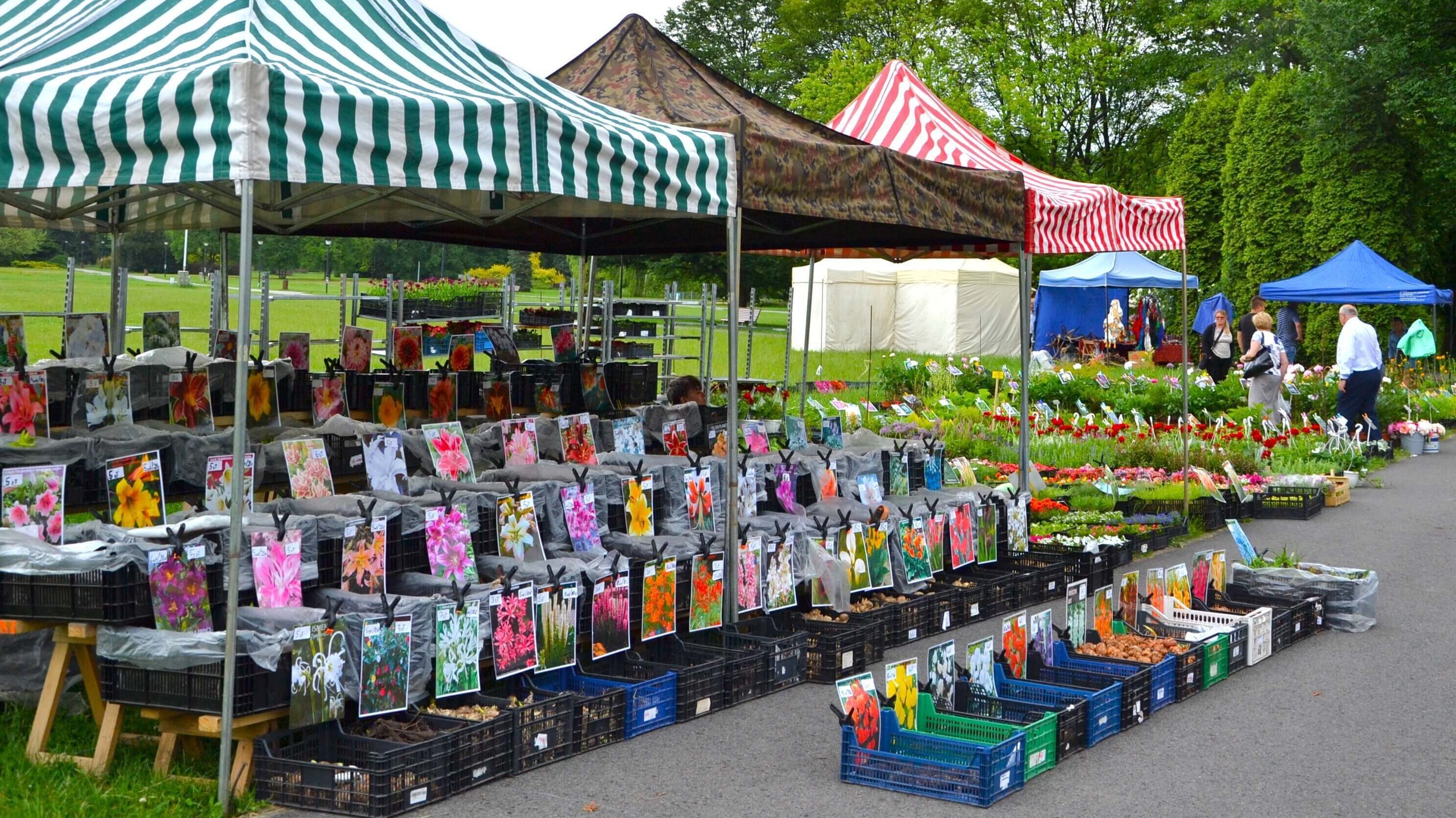 Kiermasz Kwiatowy w parku slaskim