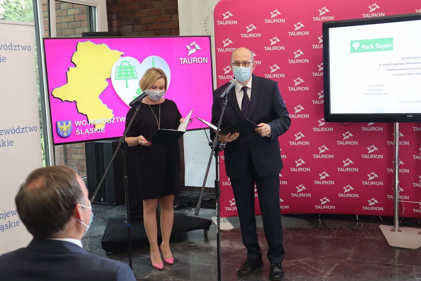 Konferencja park Slaski 13