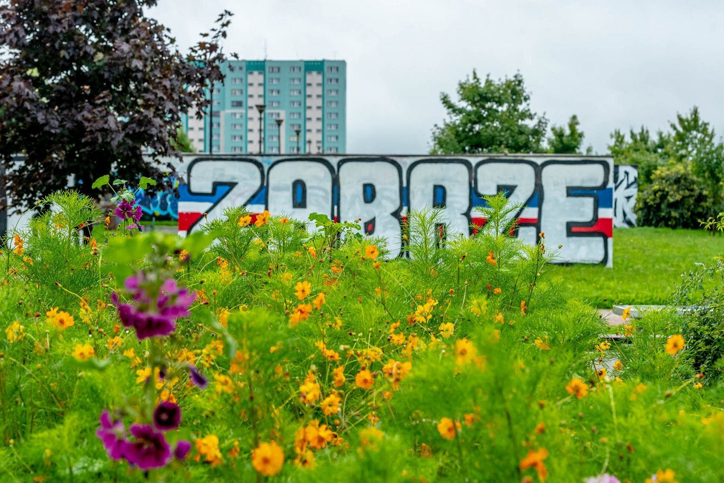 Laki Lomzy Zabrze 5
