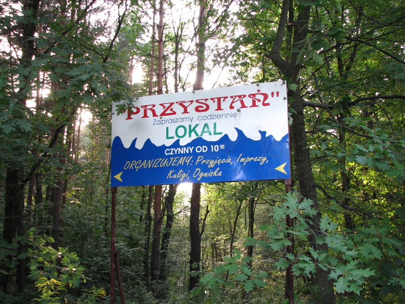 Lasy Panewnickie Kochlowice 2011 11