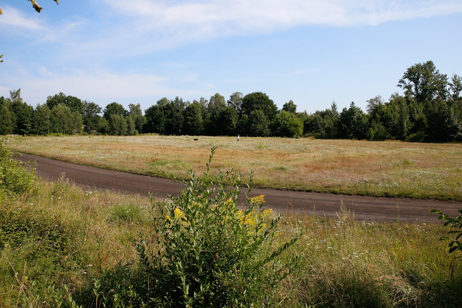 MG 3657