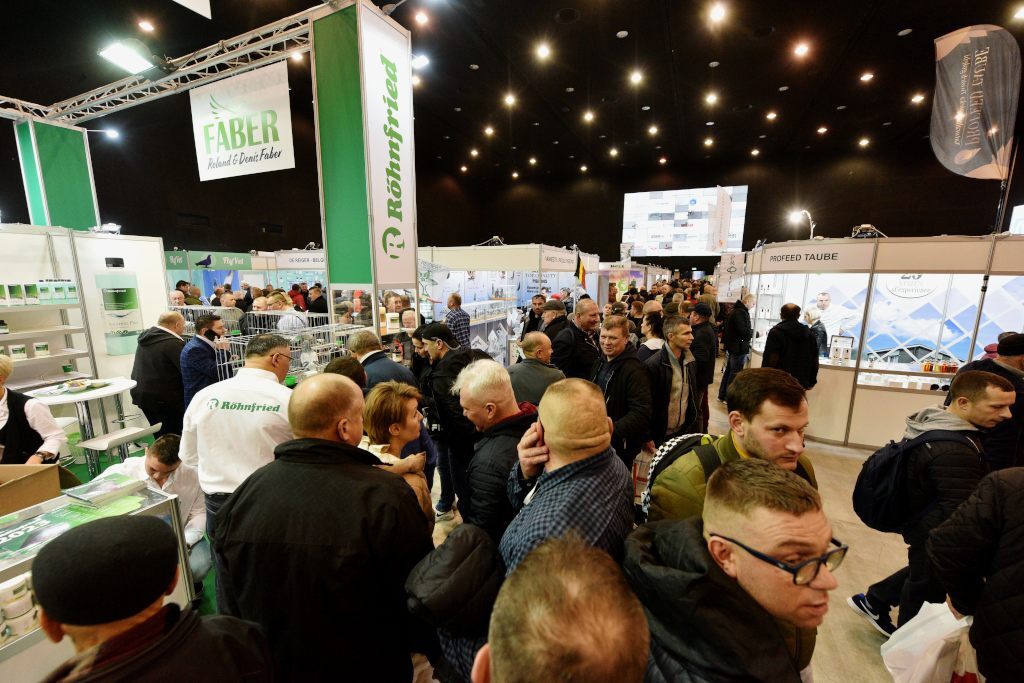 Międzynarodowe Targi Gołębi Pocztowych EXPO Gołębie w Katowicach 2023 1