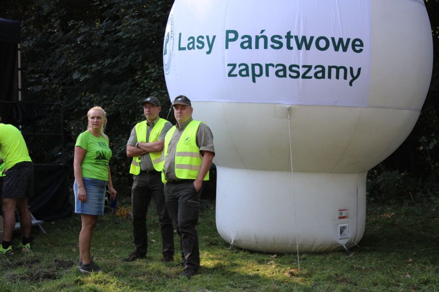 Miechowice Bytom Lasy Panstwowe 2