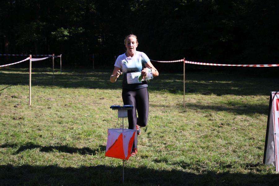 Miechowice Bytom Lasy Panstwowe 20