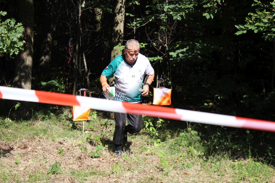Miechowice Bytom Lasy Panstwowe 29