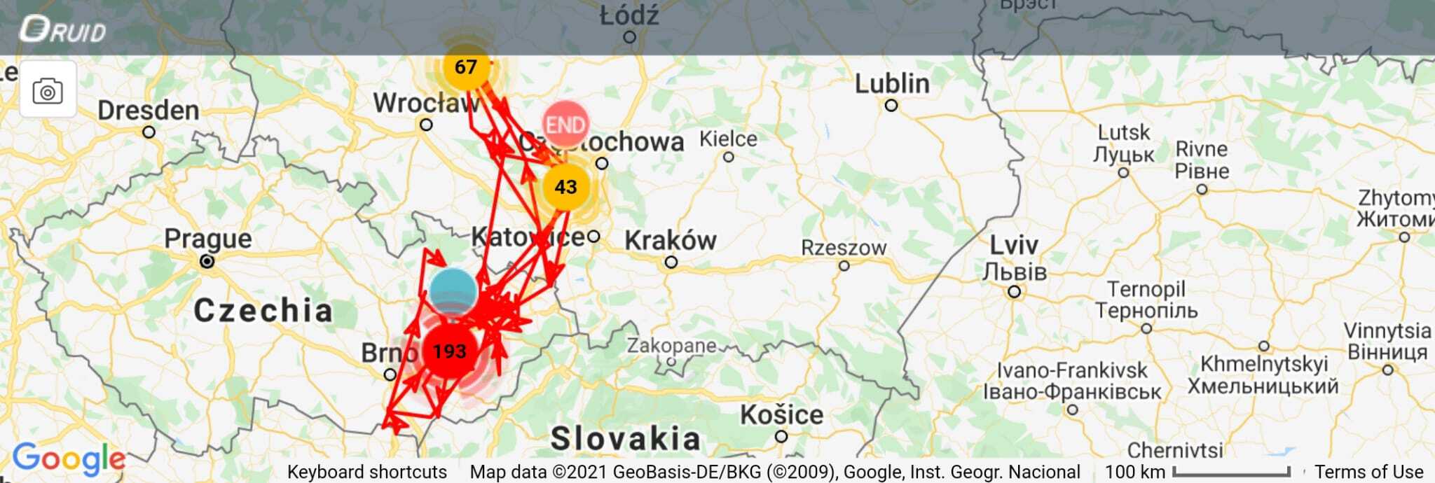 Migracja Bielika