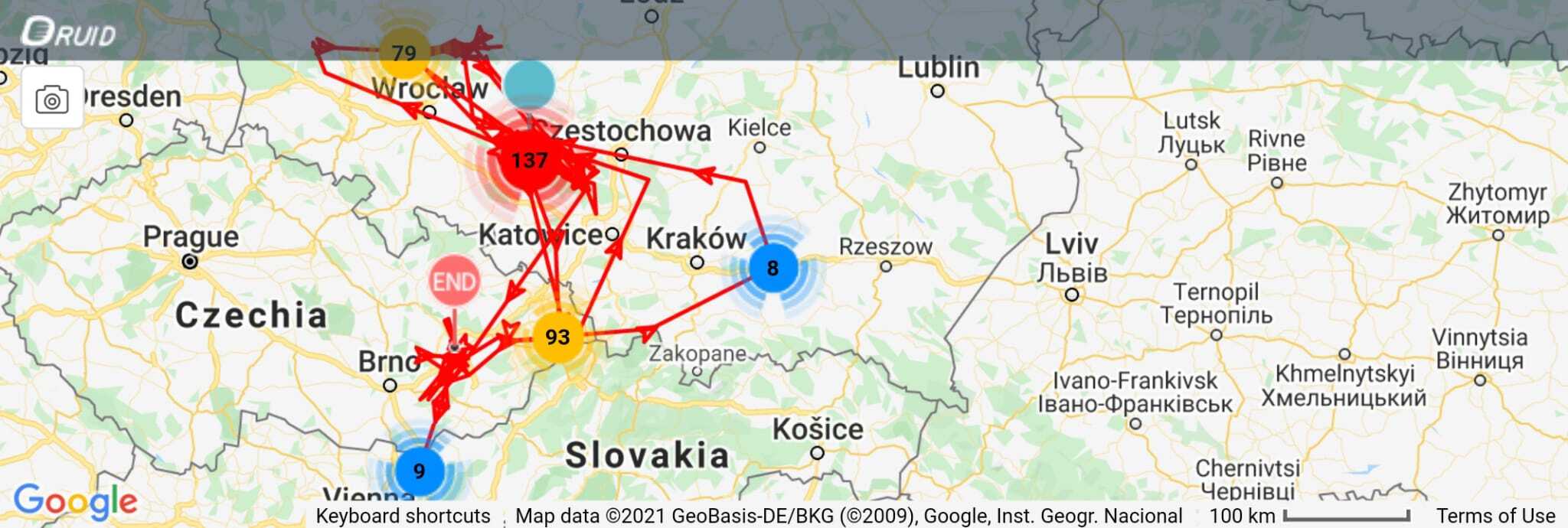 Migracja Bielika 2