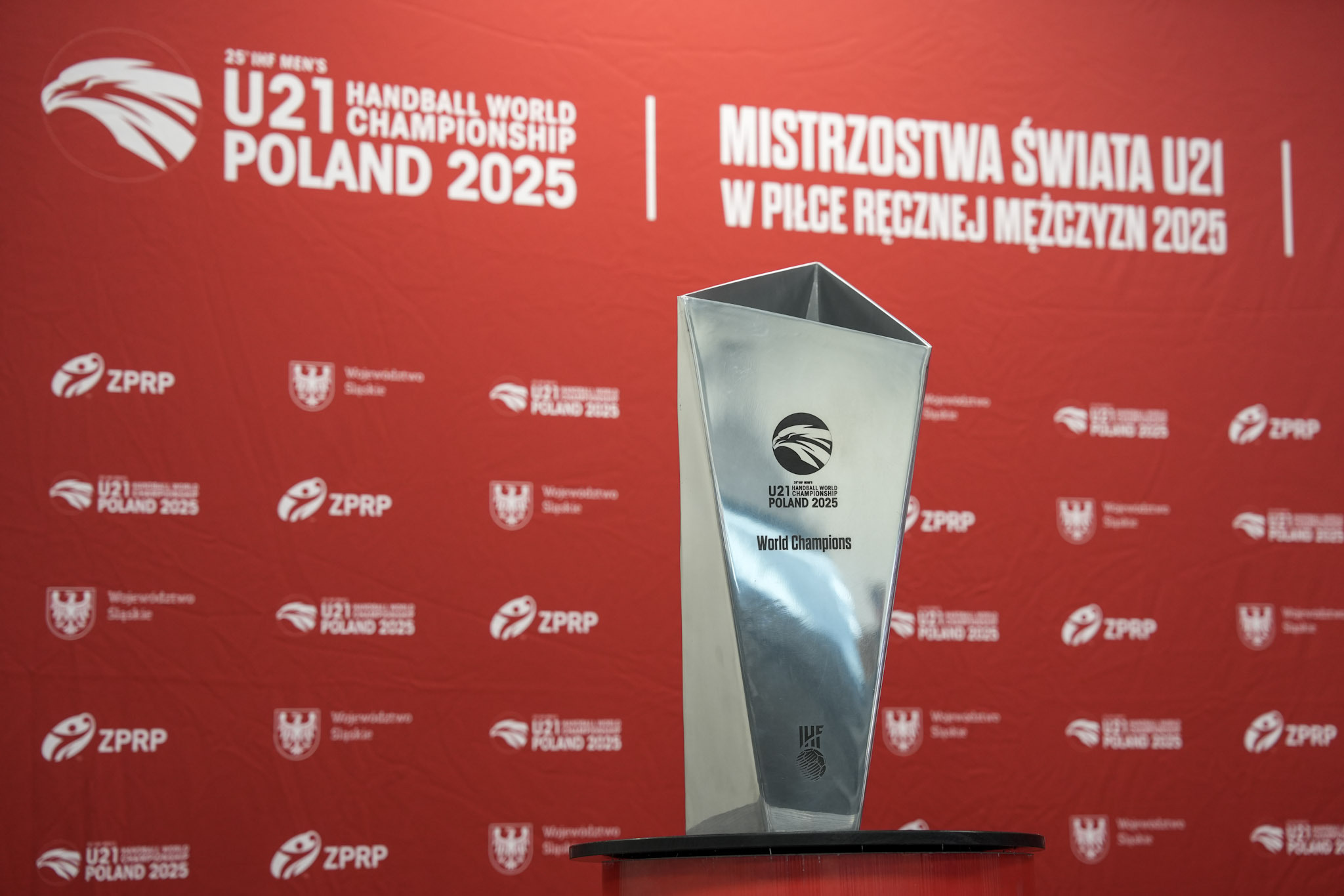 Mistrzostwa Świata w Piłce Ręcznej Mężczyzn puchar