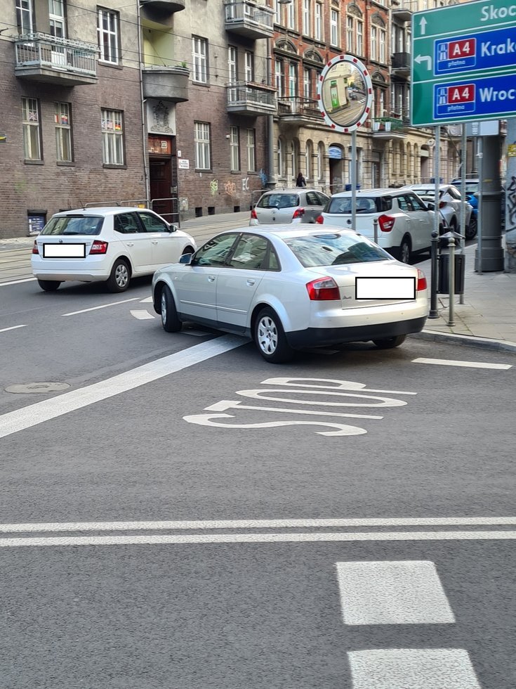 Miszczowie parkowania