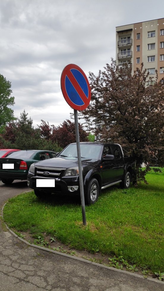 Miszczowie parkowania 3