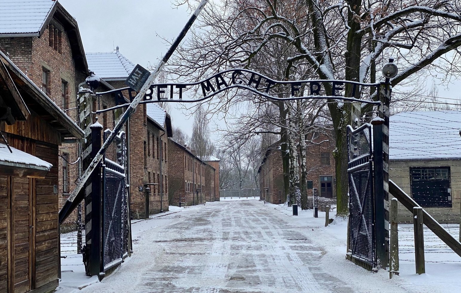 Muzeum auschwitz