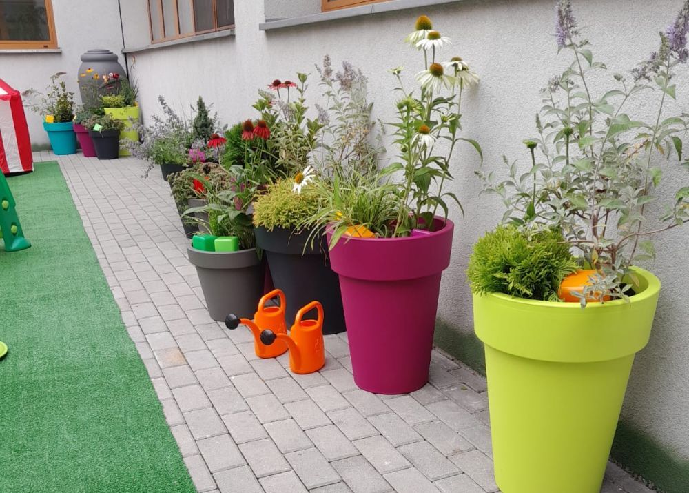 Ogrod doswiadczen 06