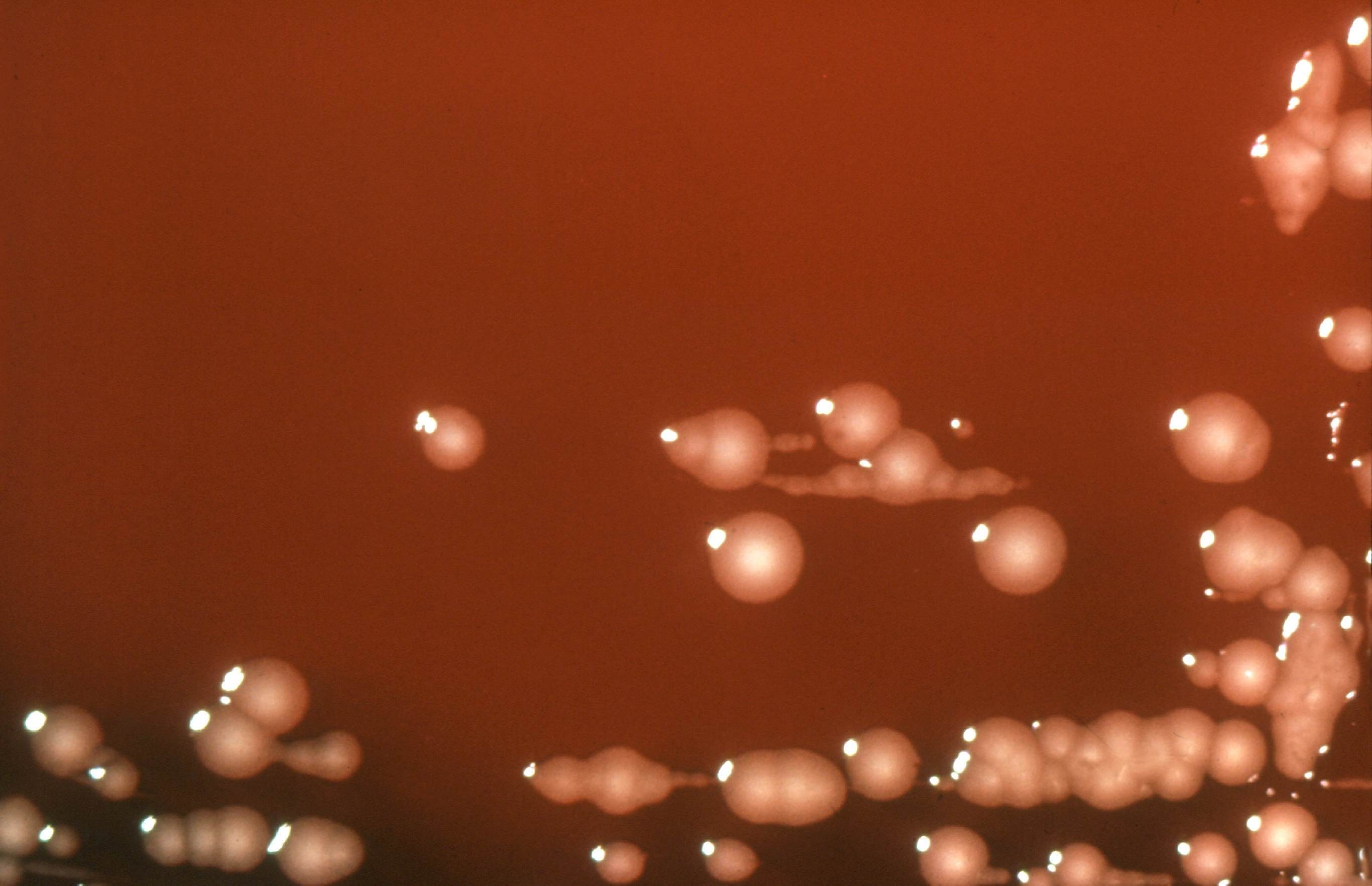 PIXNIO 838818 2732x1764