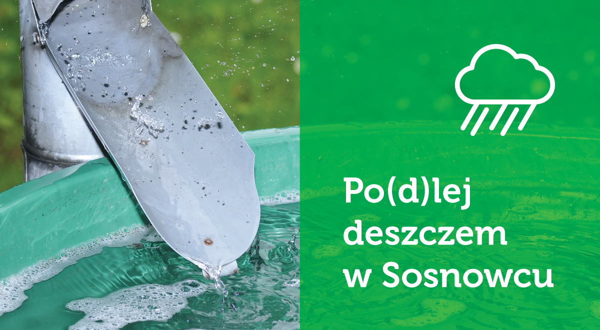 PODLEJ DESZCZEM W SOSNOWCU 2020